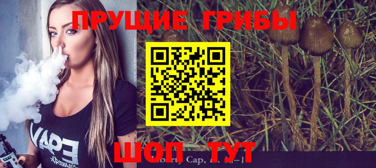 Псилоцибиновые грибы Cubensis  Псилоцибиновые грибы мицелий  сколько стоит  Вход с VPN  Пыть-Ях 
